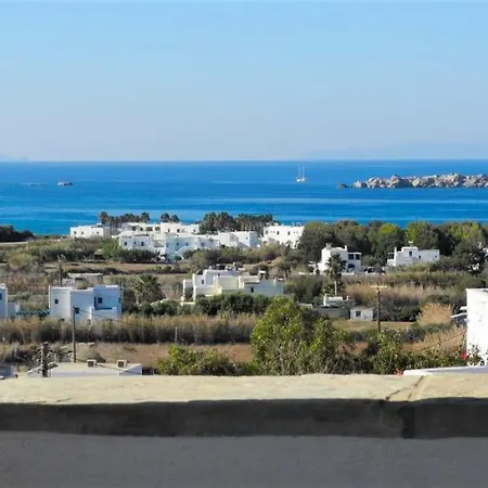 公寓 Naxos Sea View