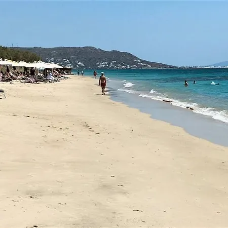 Naxos Sea View 公寓 *