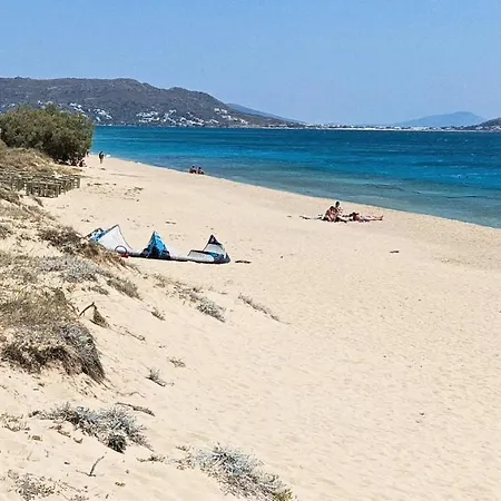 아파트 Naxos Sea View *