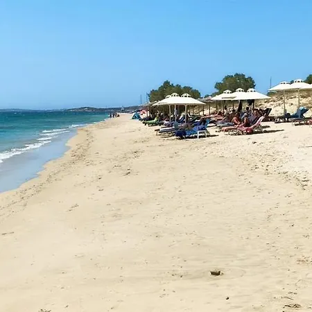 Naxos Sea View 아파트